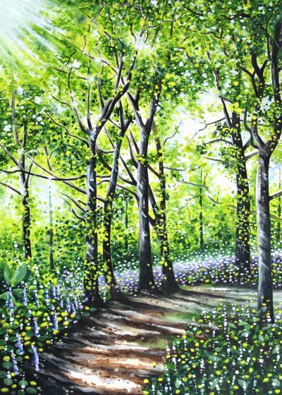 Dappled Sunlight