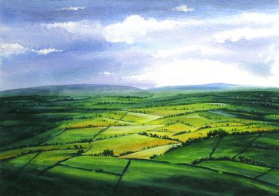Fields of Yellow and Green