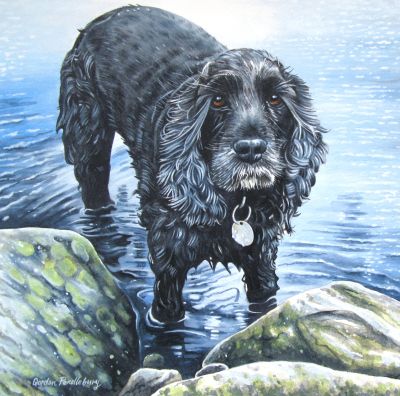 Meg Paddling