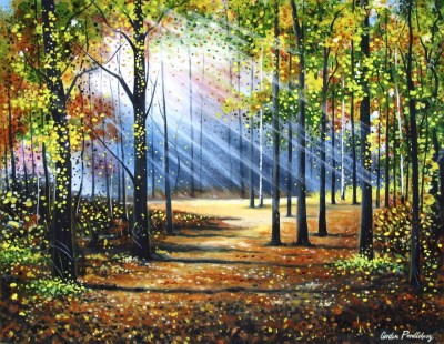 November Sunburst