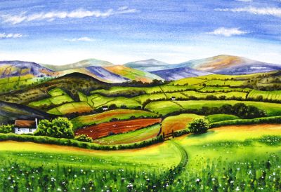 Patchwork Fields