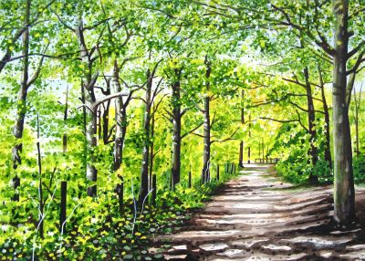 Rivington Woodland Path