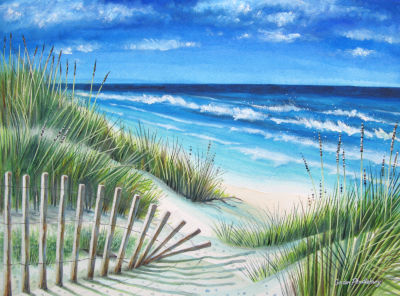 Sand Dune Grasses
