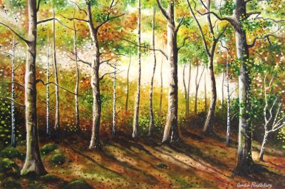 Shades of Autumn