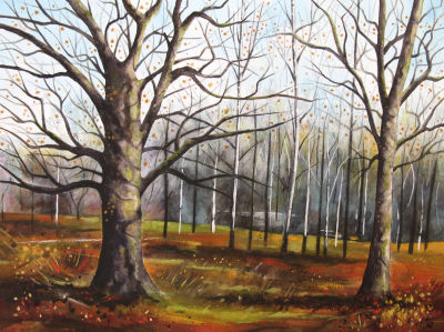 Winter Tree Shapes