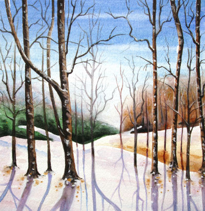 Winter's Shadows