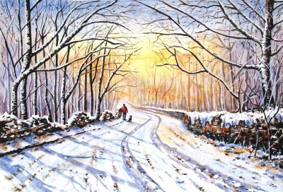 Winter's Walk